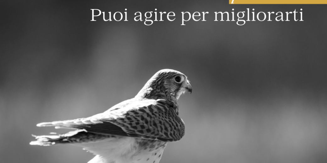 Falliscono progetti, non persone. Puoi agire per migliorarti